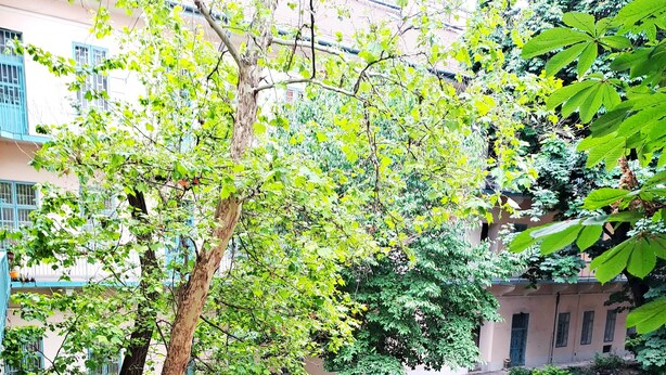 Une cour avec des allées pavées, des bancs et des arbres.