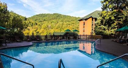 Large 4-bedrm Villa in Gatlinburg beautiful views & water park. July 4th Holiday
