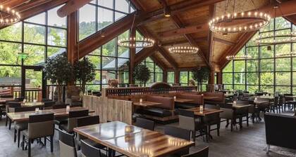Large 4-bedrm Villa in Gatlinburg beautiful views & water park. July 4th Holiday