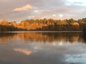 Miscellaneous - l'orée des sables (Vignoux-sur-Barangeon)
