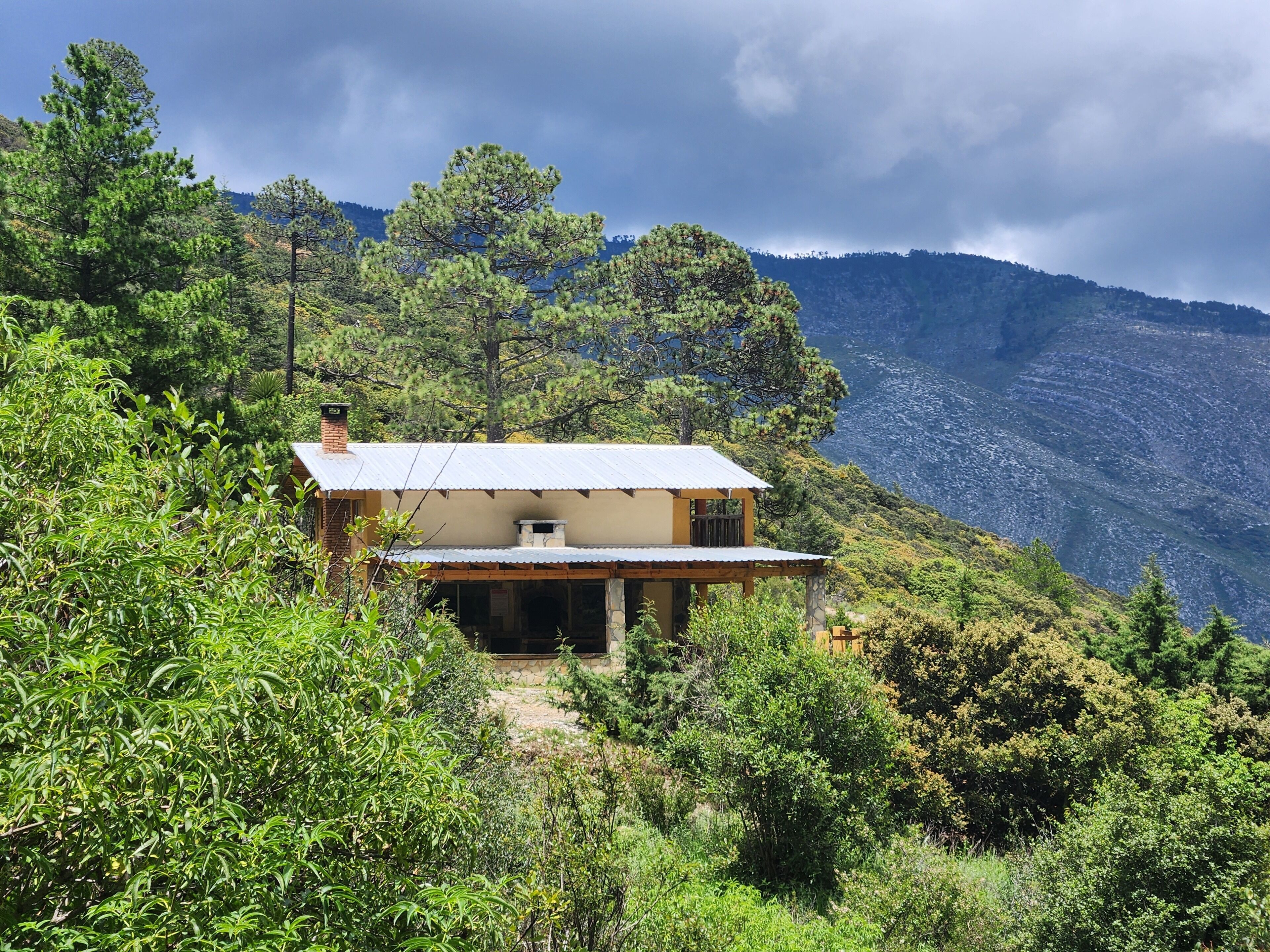 ベーシック キャビン 4 ベッドルーム マウンテンビュー | WiFi (無料)