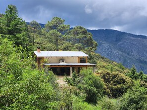 A small house with a metal roof, surrounded by dense greenery and a mountainous backdrop. - cabañas la moneda (Arteaga)