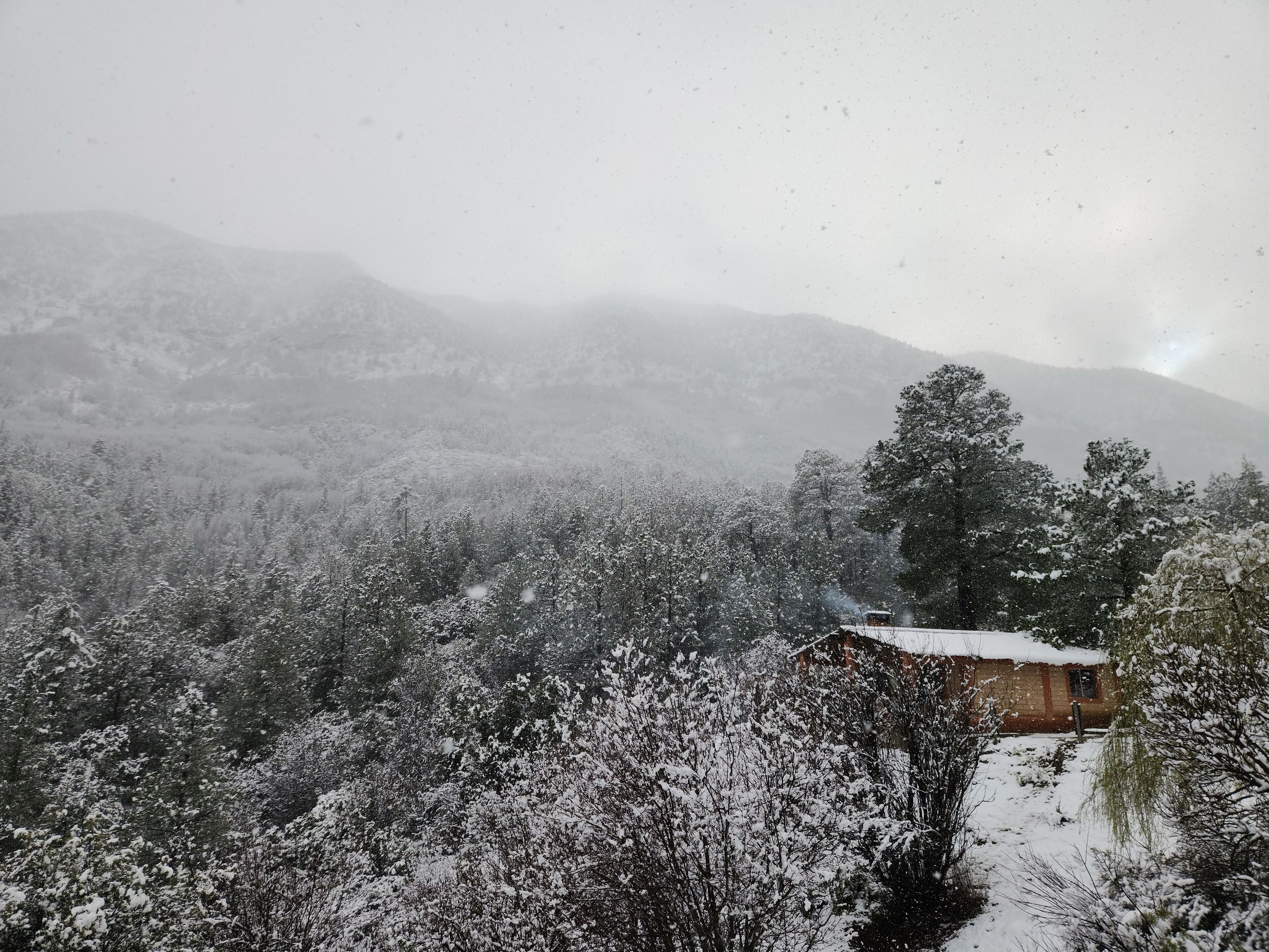 ベーシック キャビン 2 ベッドルーム マウンテンビュー | WiFi (無料)