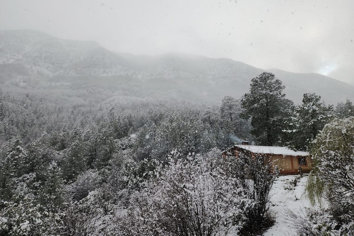 Un paisaje nevado con una casa rodeada de árboles.
