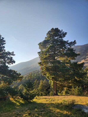 Un paysage montagneux avec un grand pin qui se détache au premier plan.