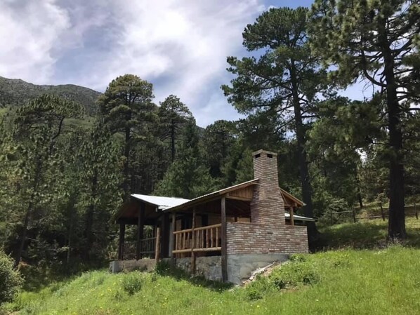 Un chalet rustique avec une cheminée en pierre, entouré d’une colline boisée.