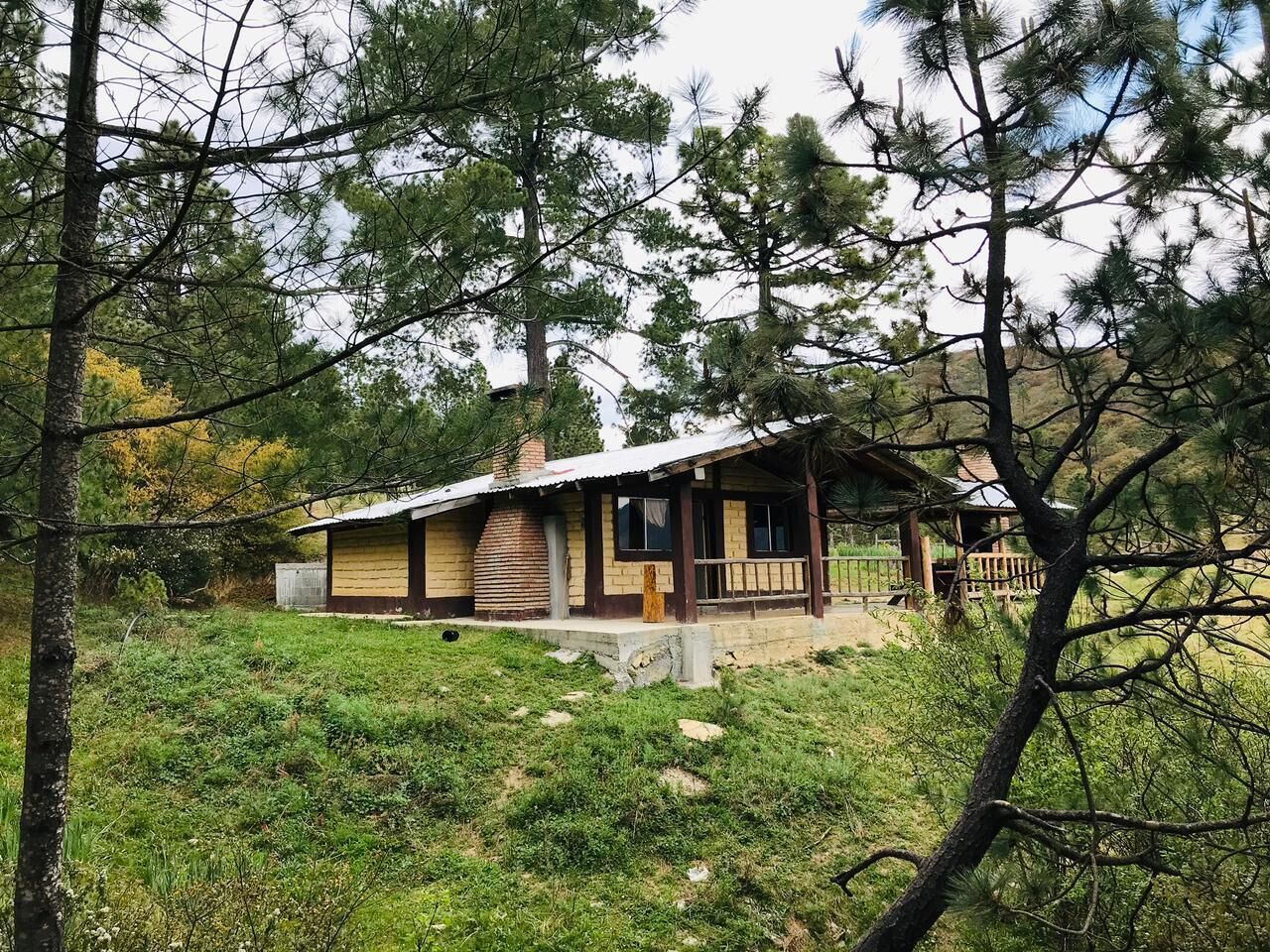 ベーシック キャビン 2 ベッドルーム マウンテンビュー | WiFi (無料)