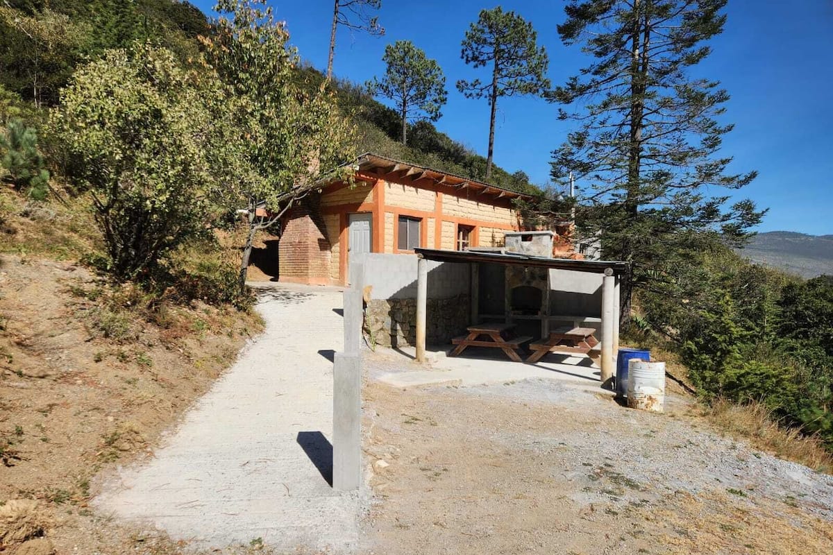 Una cabaña rústica con chimenea de piedra, un porche de madera y un camino despejado que lleva a la entrada.