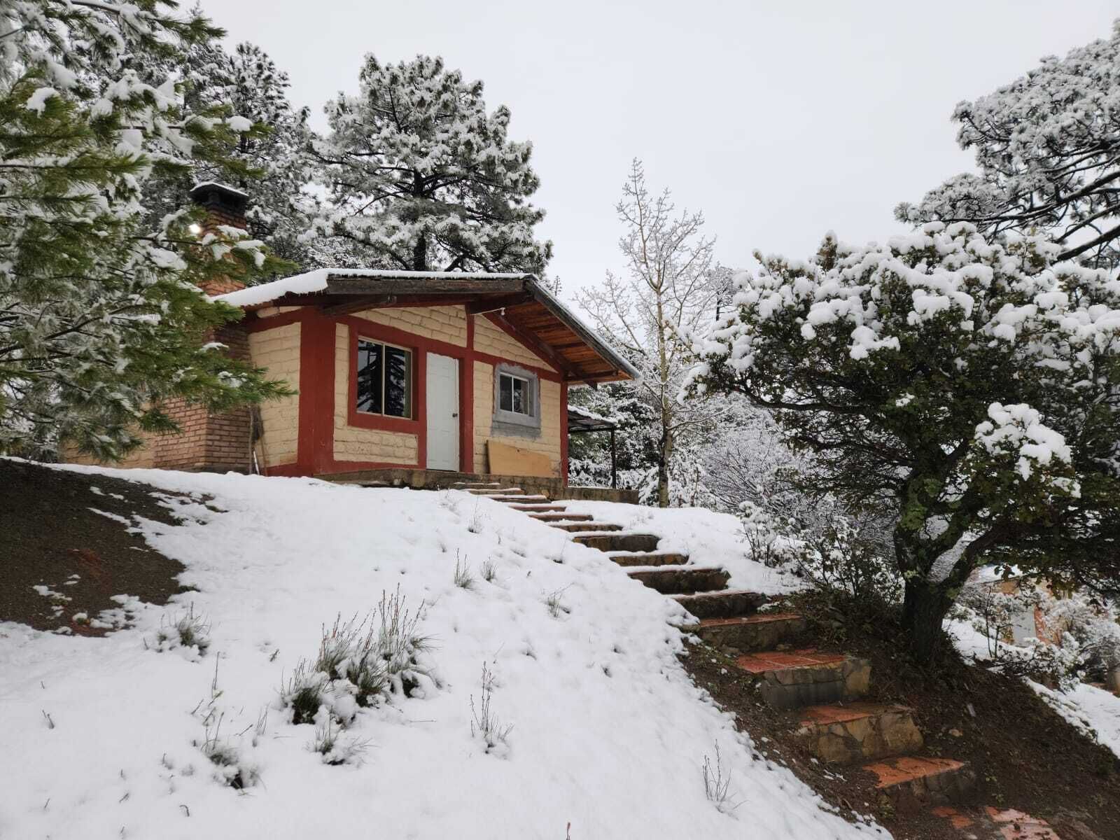 ベーシック キャビン 2 ベッドルーム マウンテンビュー | WiFi (無料)