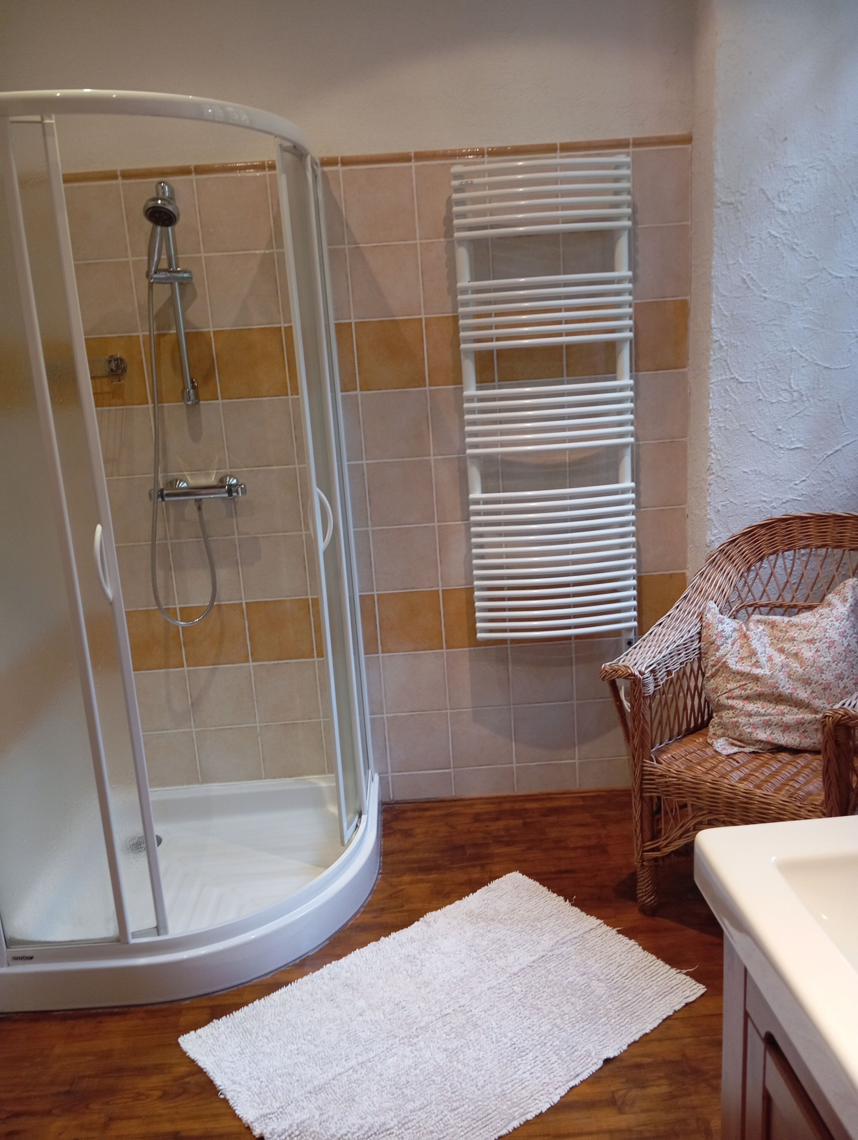 Douche, séchoir à cheveux, serviettes fournies, papier de toilette
