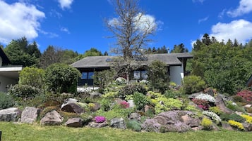 A modern house with a garden featuring various plants and rocks.