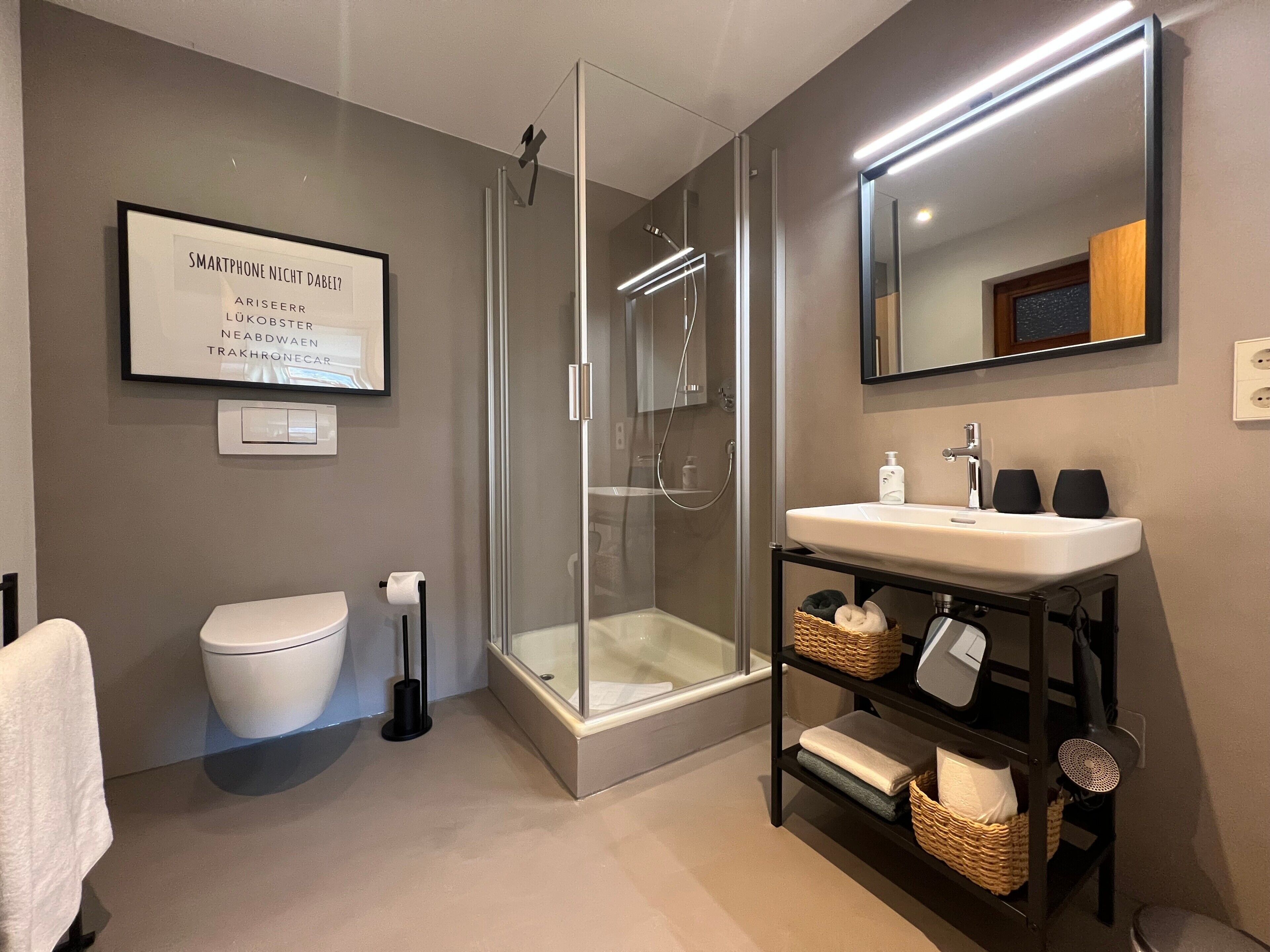 Shower, hair dryer, towels