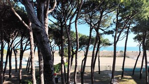 Un sendero bordeado por altos árboles que conduce a una zona de playa con una valla y un portón.