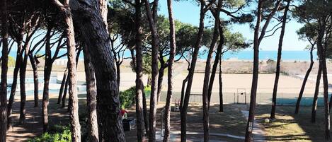 Un sentier bordé de grands arbres qui mène à une zone de plage, délimitée par une clôture et une porte.