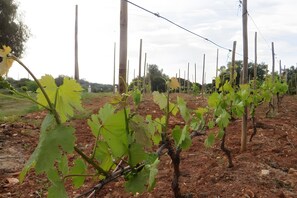 المنطقة المحيطة بالمنشأة