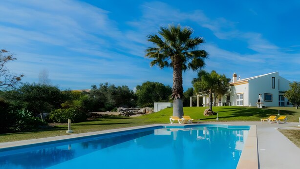 Una piscina con sillas de descanso, una palmera y una casa moderna al fondo.