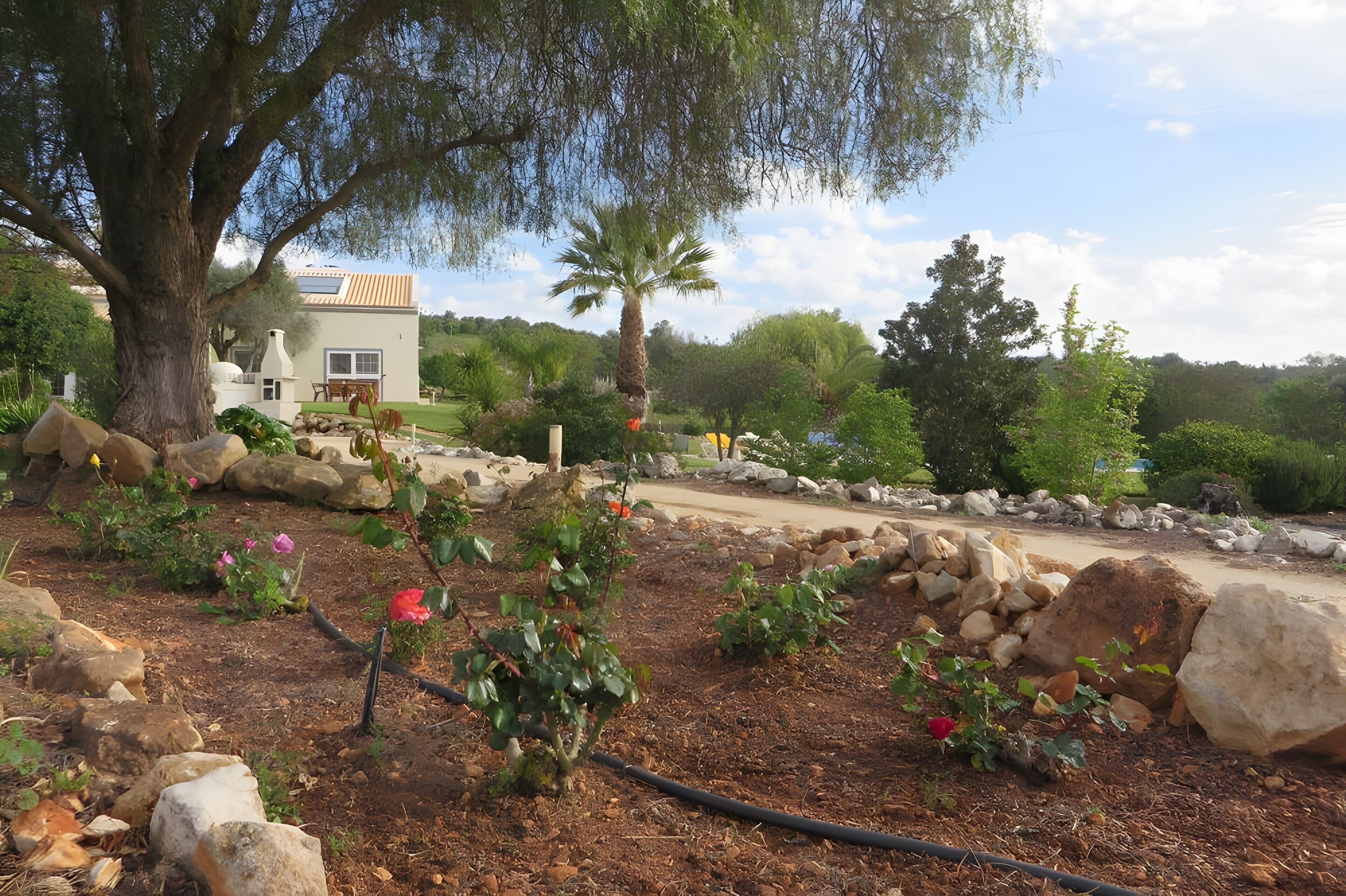 Área da propriedade