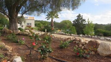 Área da propriedade