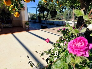 Property grounds - The House of Flamenco (Cañada del Rabadán)