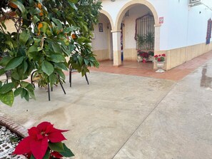 Image sans description, 3 de 43, bouton