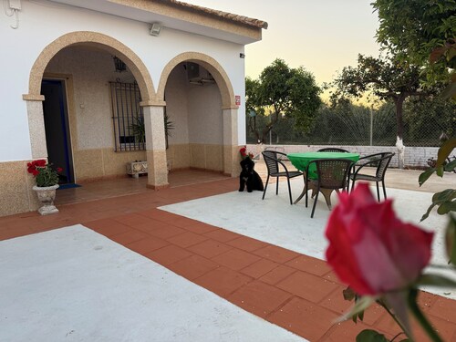 The House of Flamenco