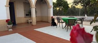 The House of Flamenco