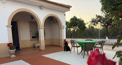 The House of Flamenco