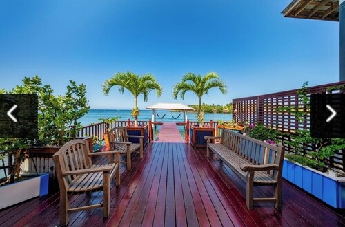 Come hang out on the dock and watch dolphins