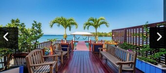 Come hang out on the dock and watch dolphins