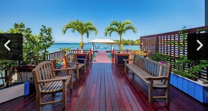 Come hang out on the dock and watch dolphins