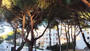A street lined with tall trees and a white building with balconies. - Relaxing Flat With Pool Access (Jesolo)