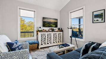 Televisión y libros