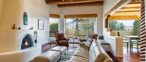 TV, fireplace, books
