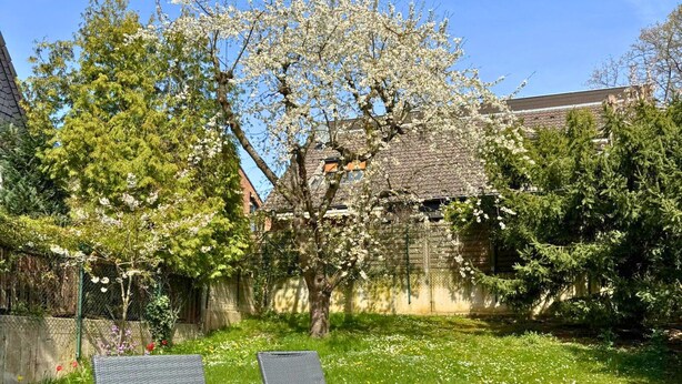 A garden with two lounge chairs, a tree with white blossoms, and a stone building in the background. - House with garden & private parking space in Cologne (Köln)