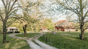 Uma propriedade rural com um caminho de cascalho que leva a uma casa cercada por árvores e campos vedados.