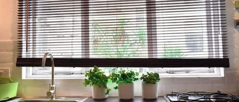A kitchen with a window, sink, and three potted plants on the counter.