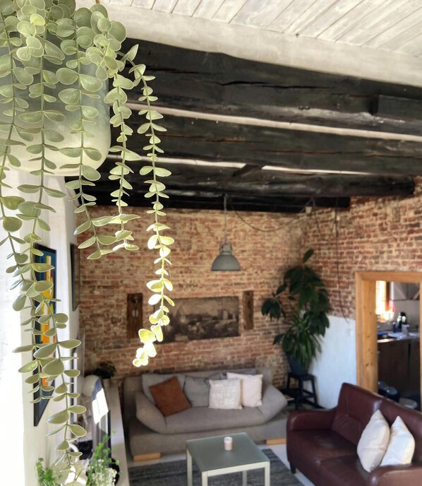 Älytelevisio, kirjoja, stereot