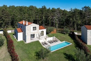 Exterior - Mediterranean stone villa with private pool, great views, strong WiFi, BBQ (Višnjan)