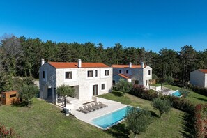 Exterior - Special stone house with private pool, panoramic view, garden, barbecue, washing machine (Višnjan)