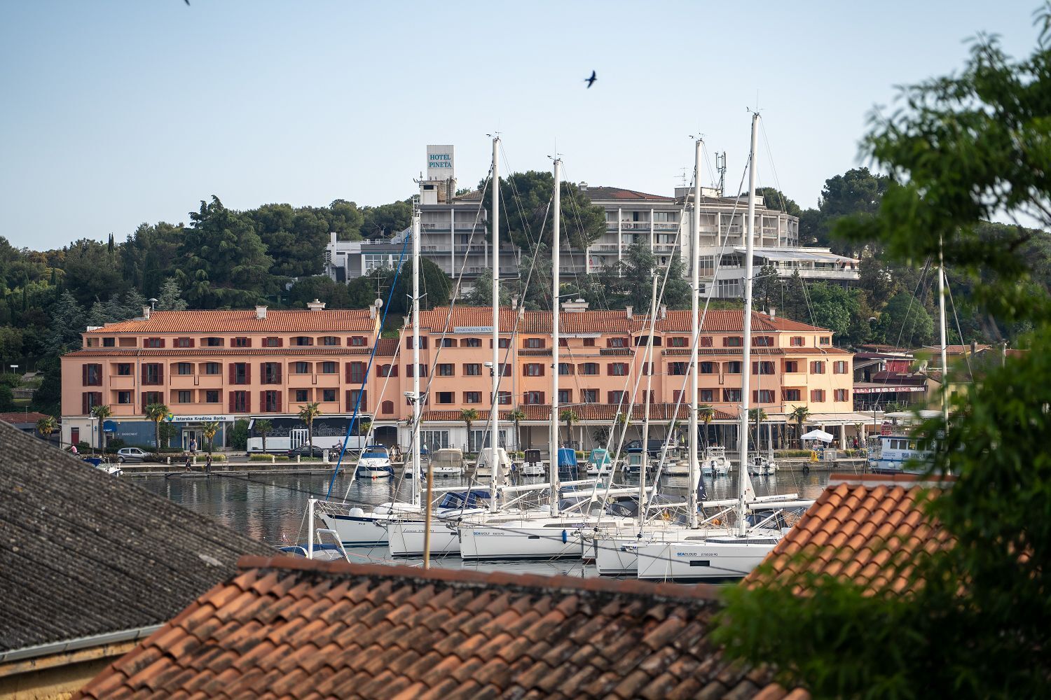 Een jachthaven met verschillende boten afgemeerd, een hotel genaamd "HOTEL PINETA" op de achtergrond, en een heuvelachtig landschap met bomen.