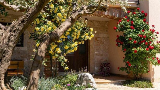 Un bâtiment en pierre doté d’une porte en bois, entouré d’un jardin où poussent des plantes à fleurs jaunes et rouges.