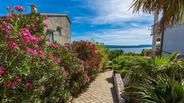 En asfalterad gångväg, omgiven av frodig grönska och rosa blommor, leder fram till en byggnad med utsikt över havet.