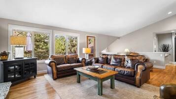 Télévision, cheminée, lecteur de DVD, chaßne hi-fi