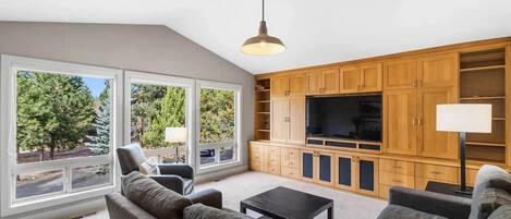 TV, fireplace, DVD player, stereo