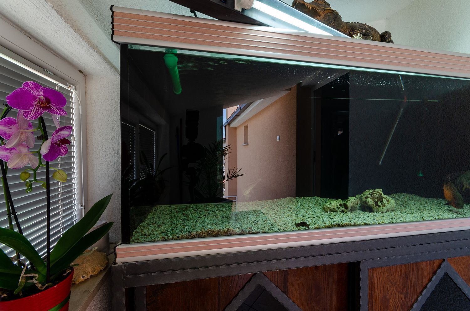 A fish tank with a green substrate, a rock decoration, and a plant.