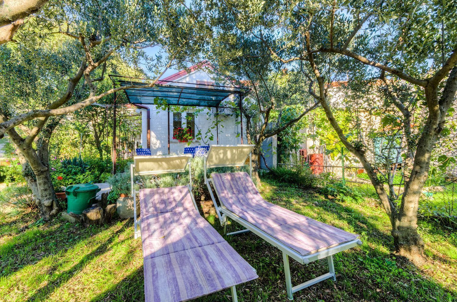 Terrain de l’hébergement 