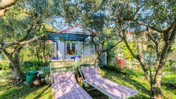 Un jardin avec deux chaises longues, un petit abri de jardin et une poubelle verte.