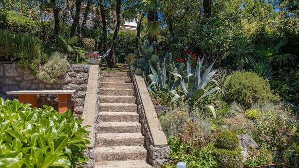 Un escalier en pierre menant à un bâtiment, entouré d’une végétation luxuriante et de diverses plantes.