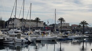 En lysthavn med flere både i havnen, bygninger i baggrunden og palmer.