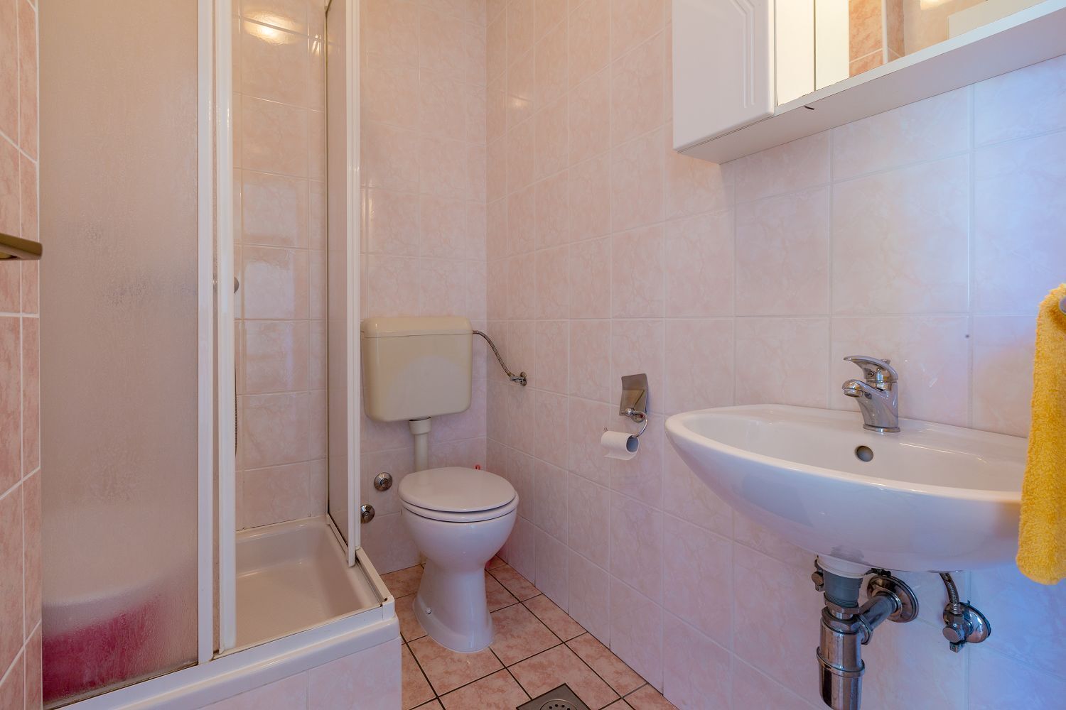 Une salle de bain avec des toilettes, un lavabo et une douche.